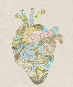 southern tour 112019